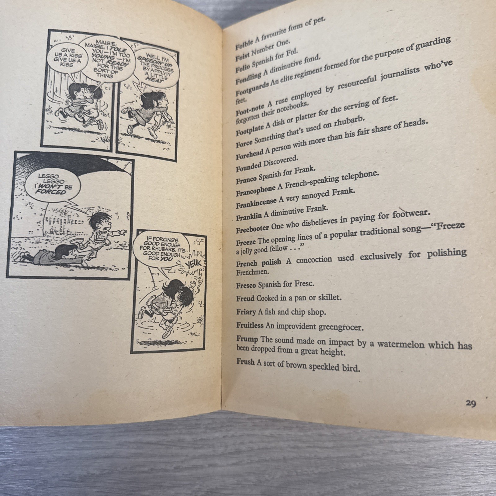 The Perishers Dotty Dictionary(An Educational Mustn’t )-Vintage 1977 Comic Strip