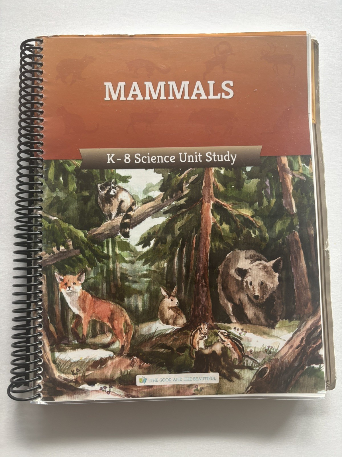 The Good & The Beautiful 2020 Mammals K-8 in 3 Ring Binder Complete