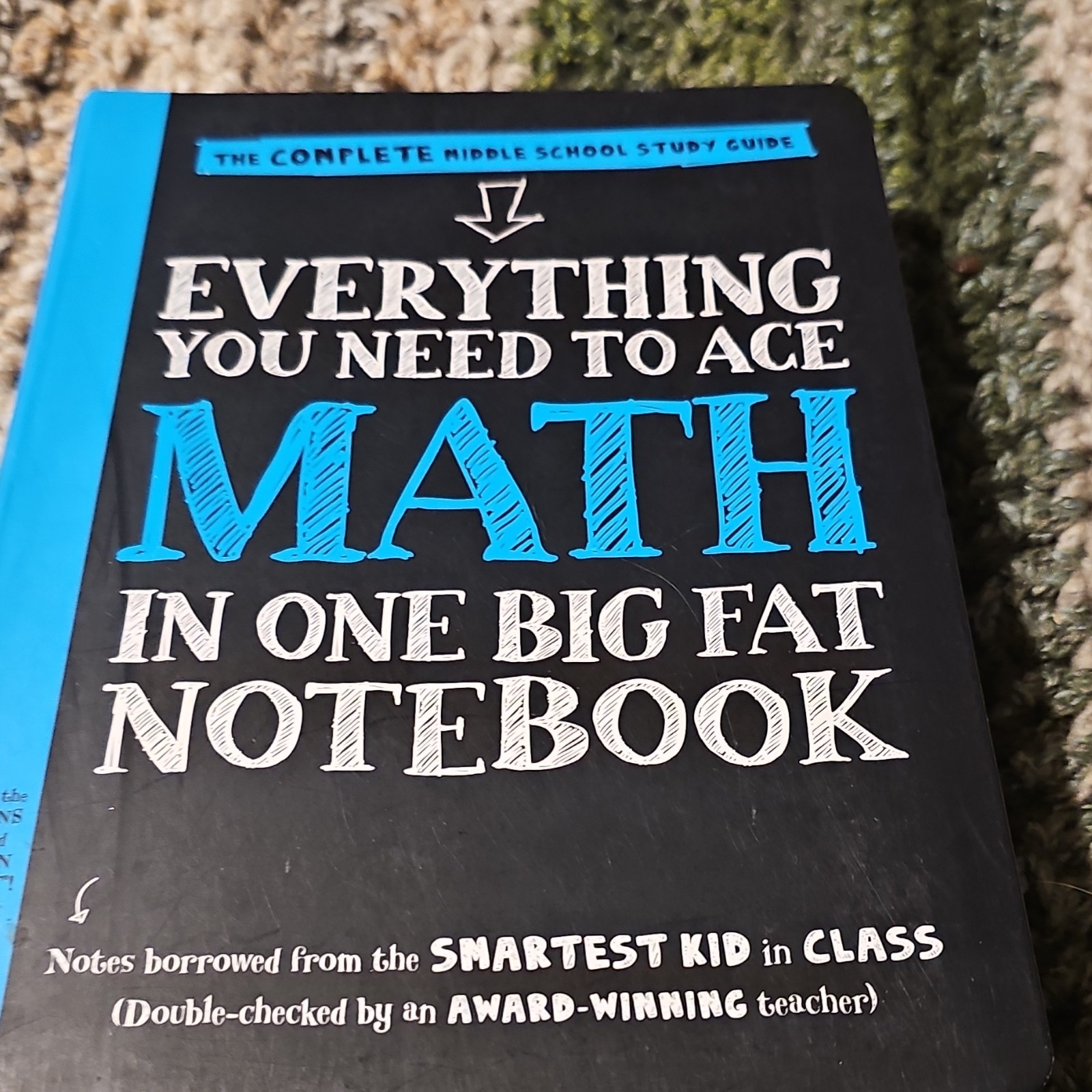 Workman Publishing Everything You Need to Ace Math Study Guide Middle School