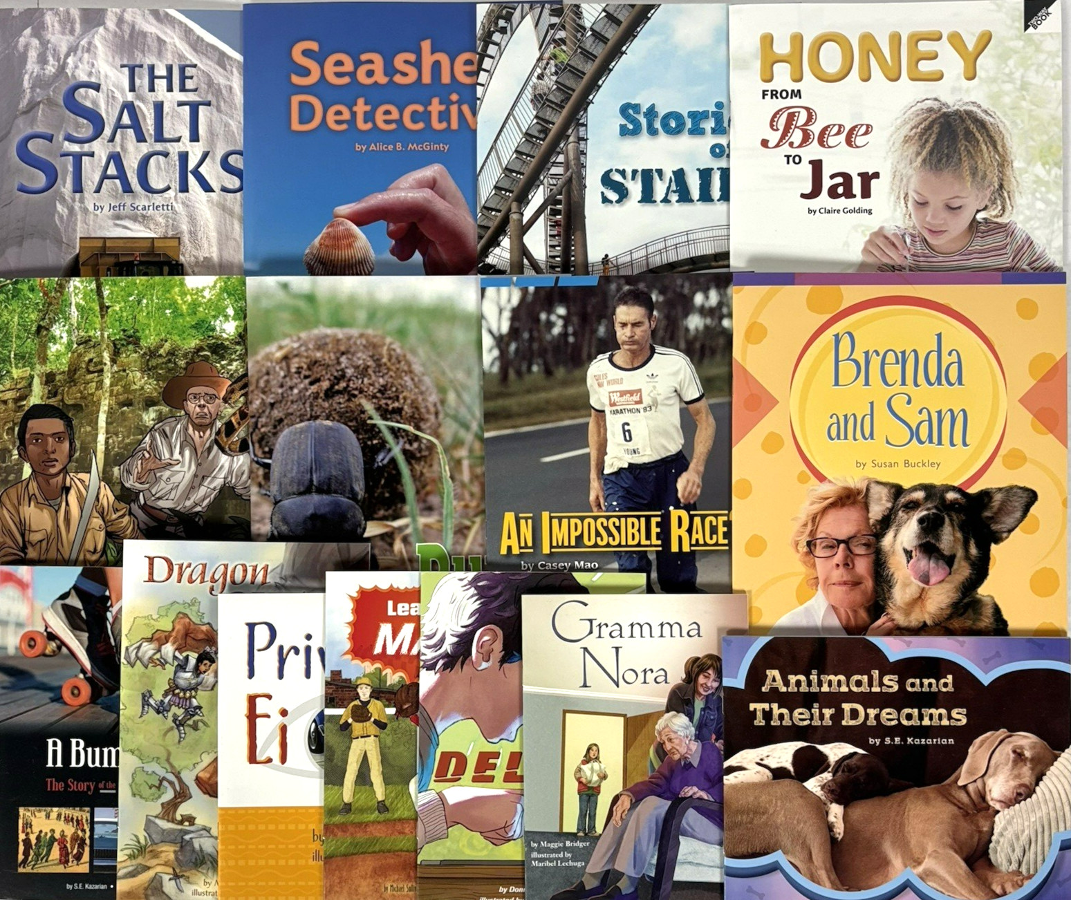 FOUNTAS & PINNELL 3rd Grade Level I-S Guided Readers Complete 200-Book Library
