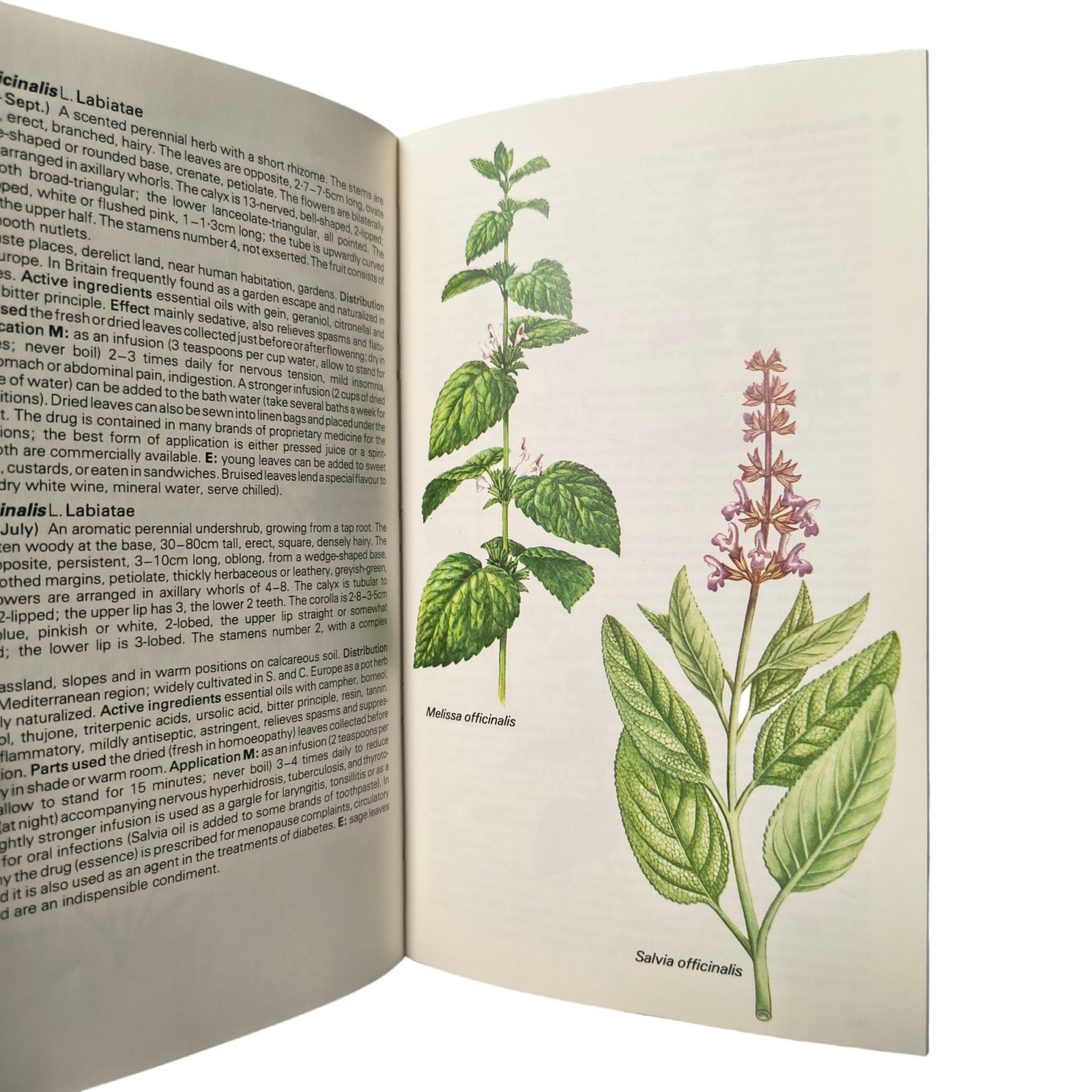 The Hamlyn Guide to Edible Medicinal Plants by Edmund Launert Hardcover
