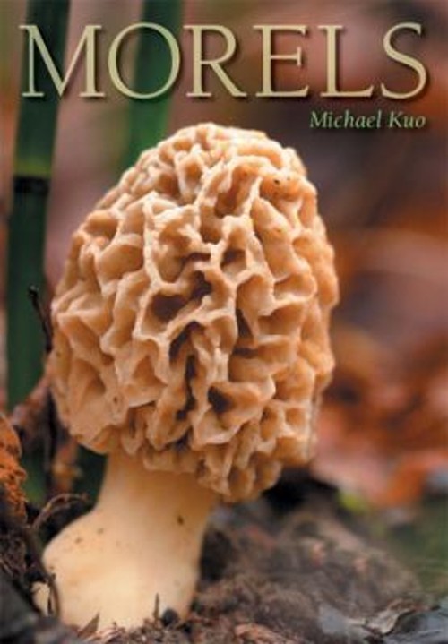 Morels Paperback Michael Kuo