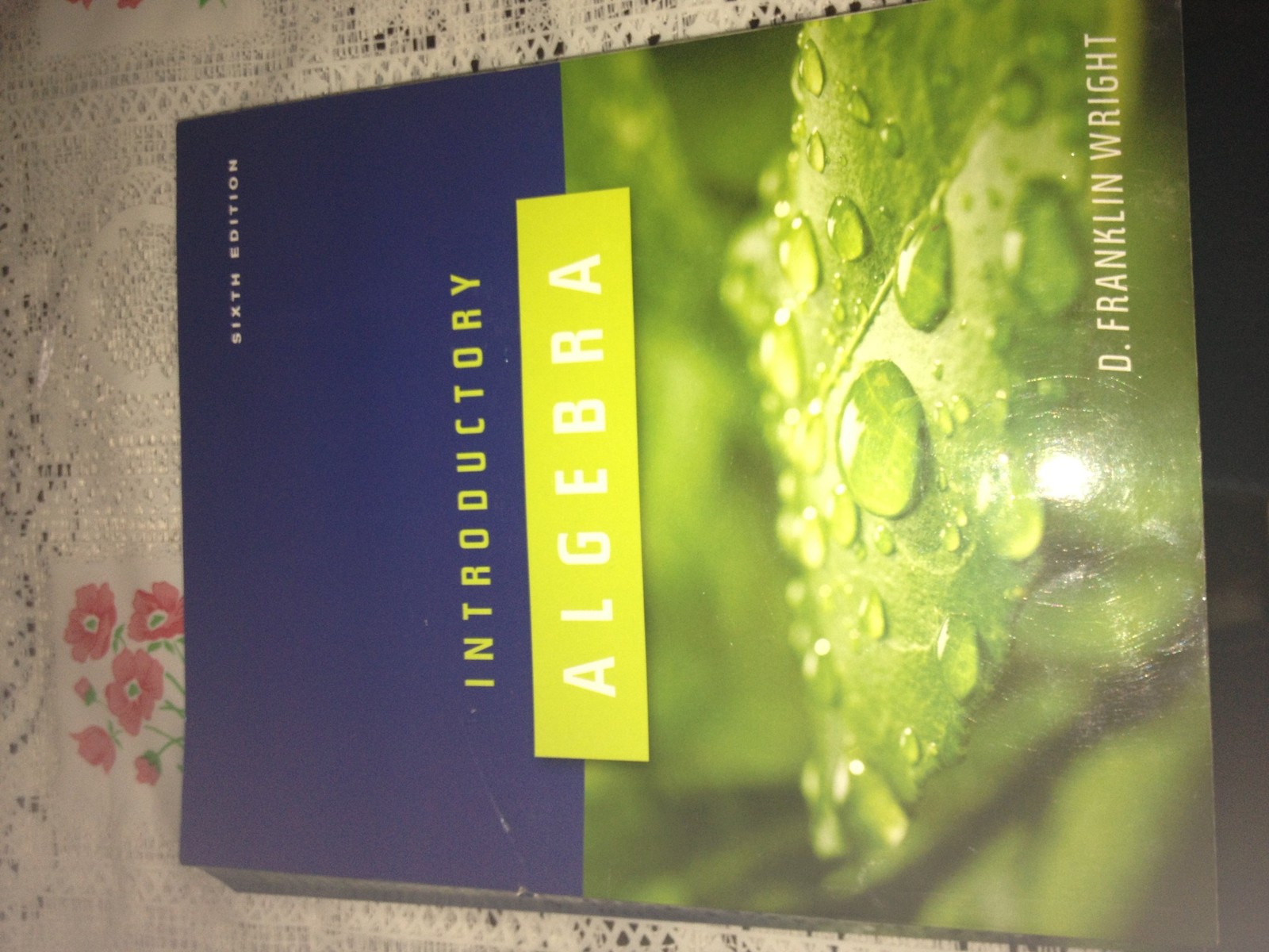 Introductory Algebra 6th ed Text Only Softcover