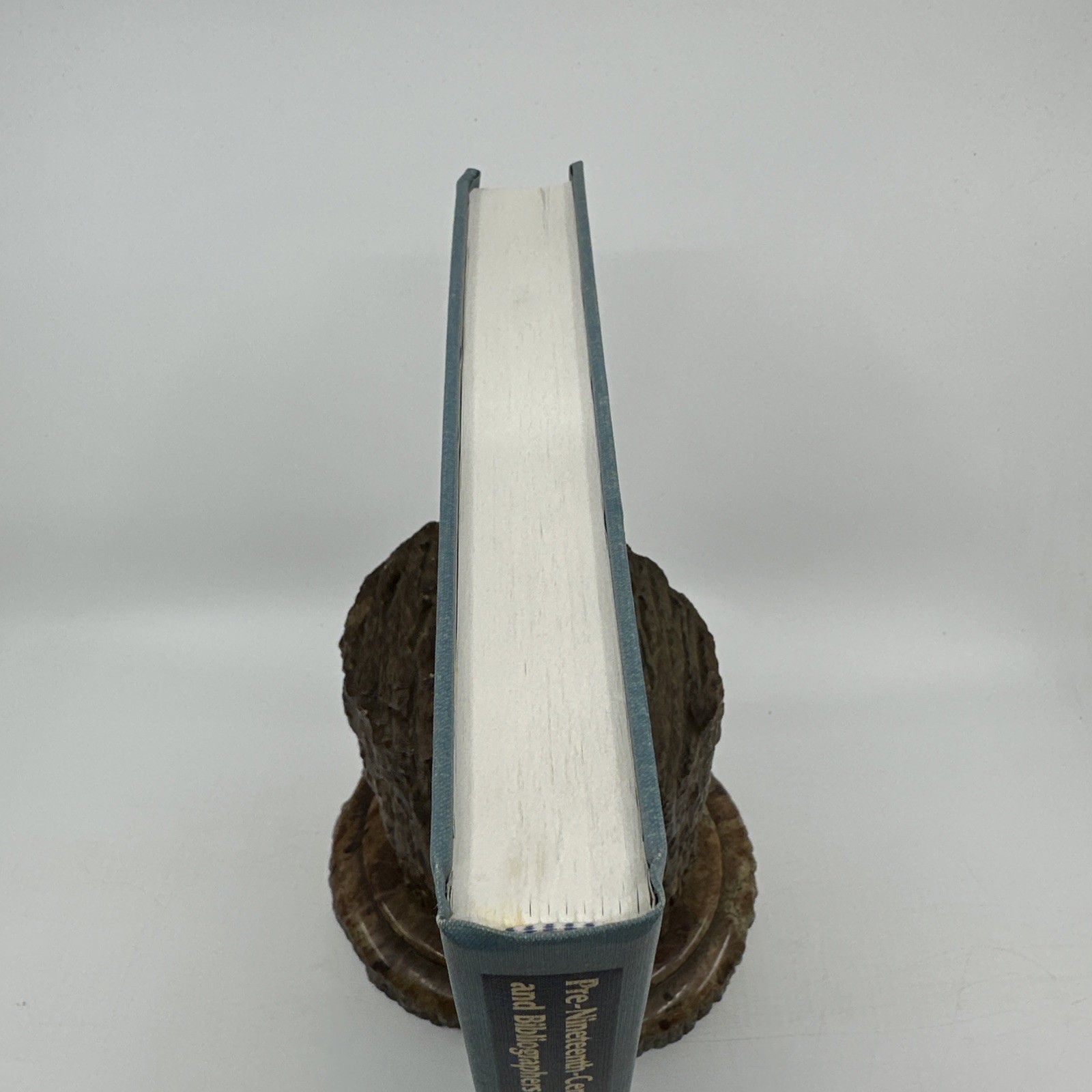 Dictionary of Literary Biography Vol 213 Gale Reference HC 1997 (NA61)