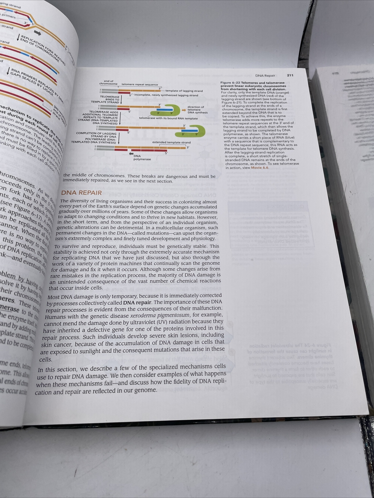 Essential Cell Biology 4th Edition Hardcover