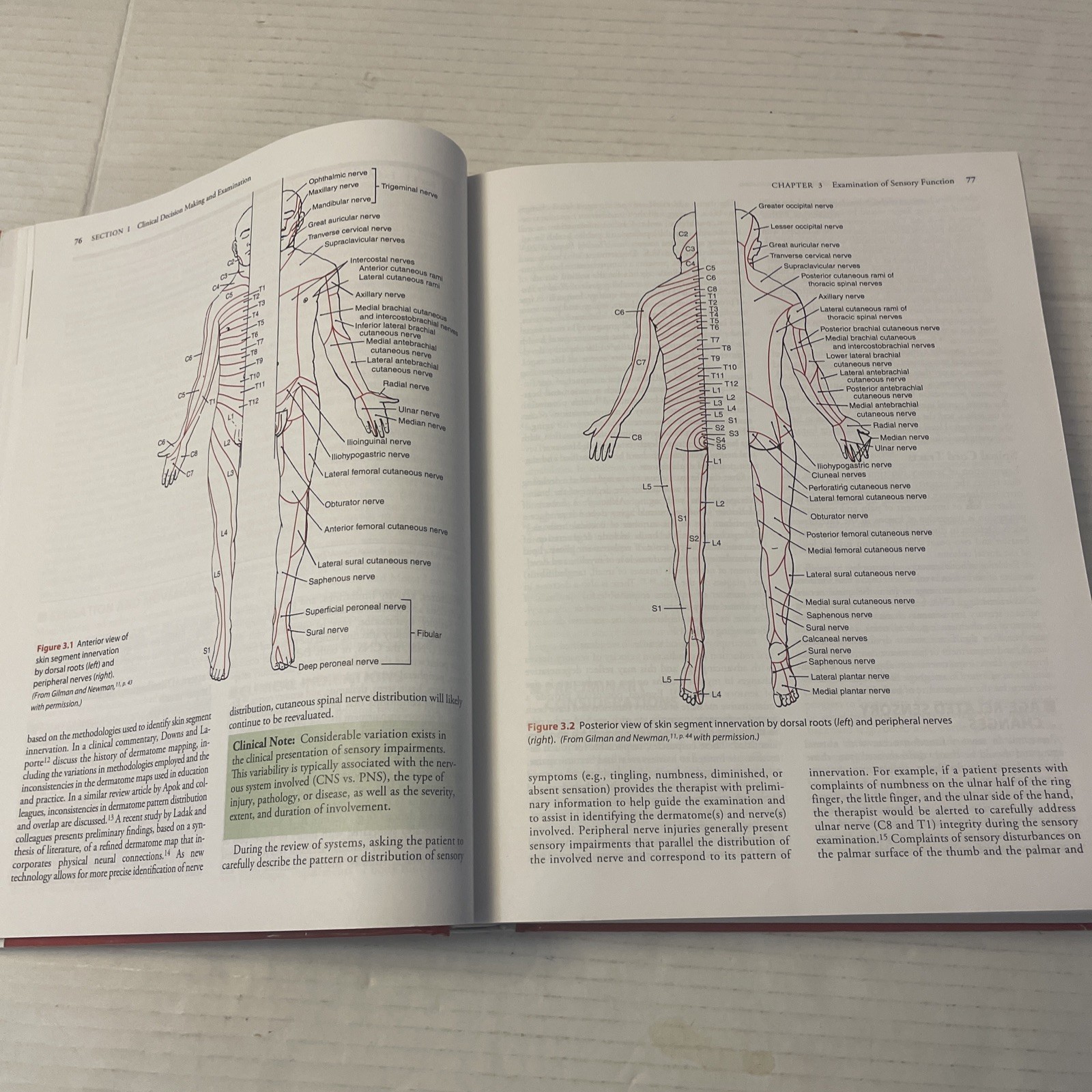 Physical Rehabilitation 17th Edition (Hardcover 2019) O’Sullivan