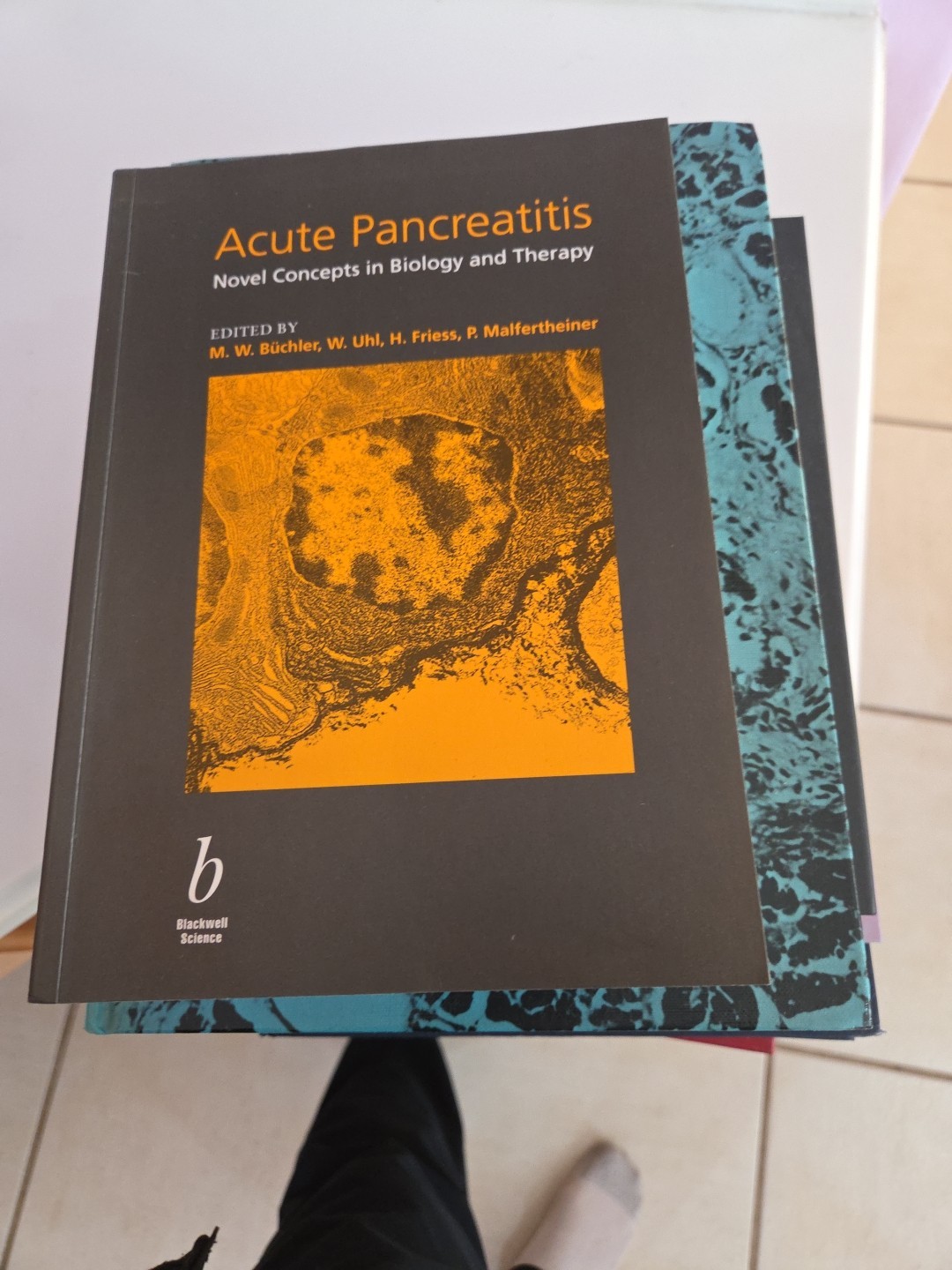 Acute pancreatitis novel concepts in biology and therapy