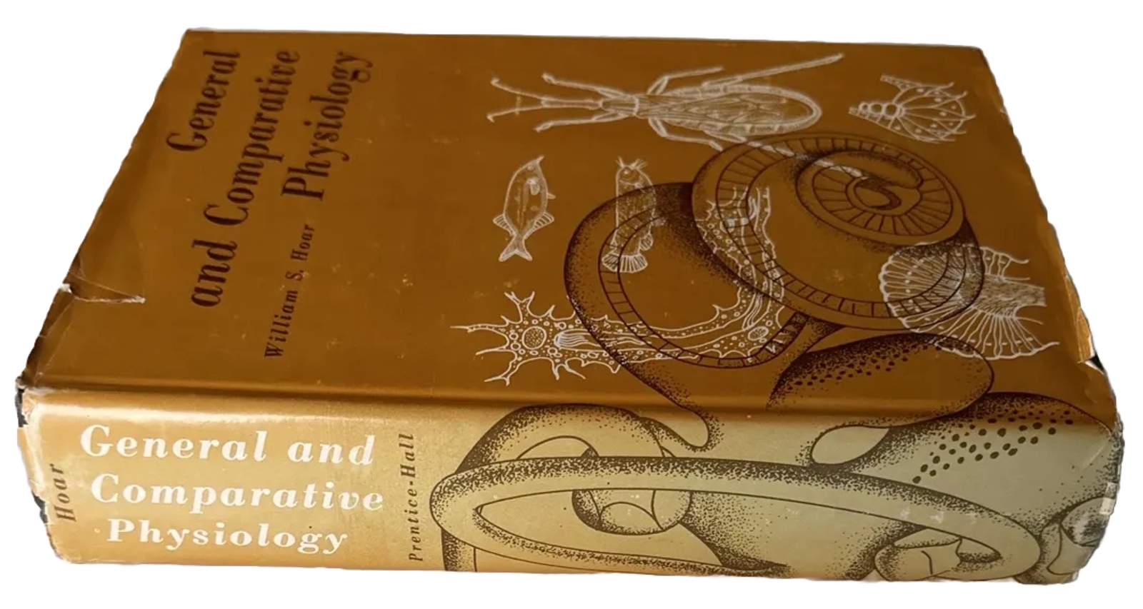 Rare! General and Comparative Physiology by William S. Hoar 1966 HC “Very Good”