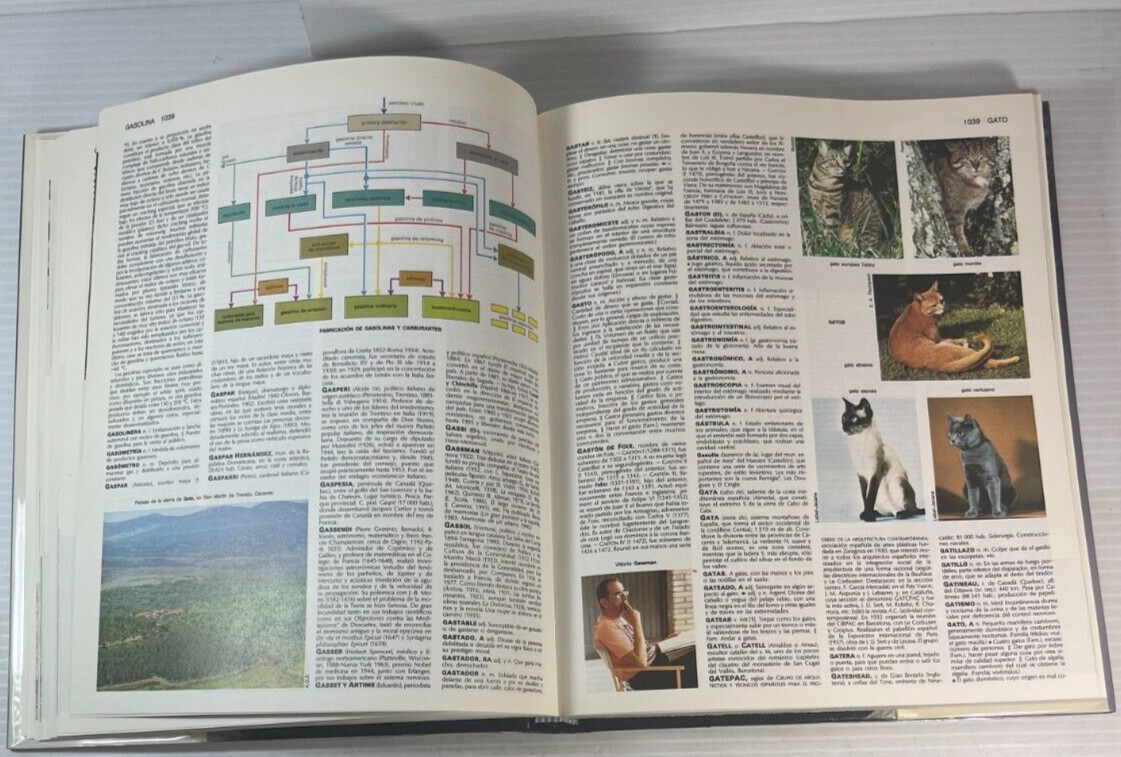 Diccionario Enciclopedico Larousse 8 Volumenes In Color 1995 2nd Edition Spanish