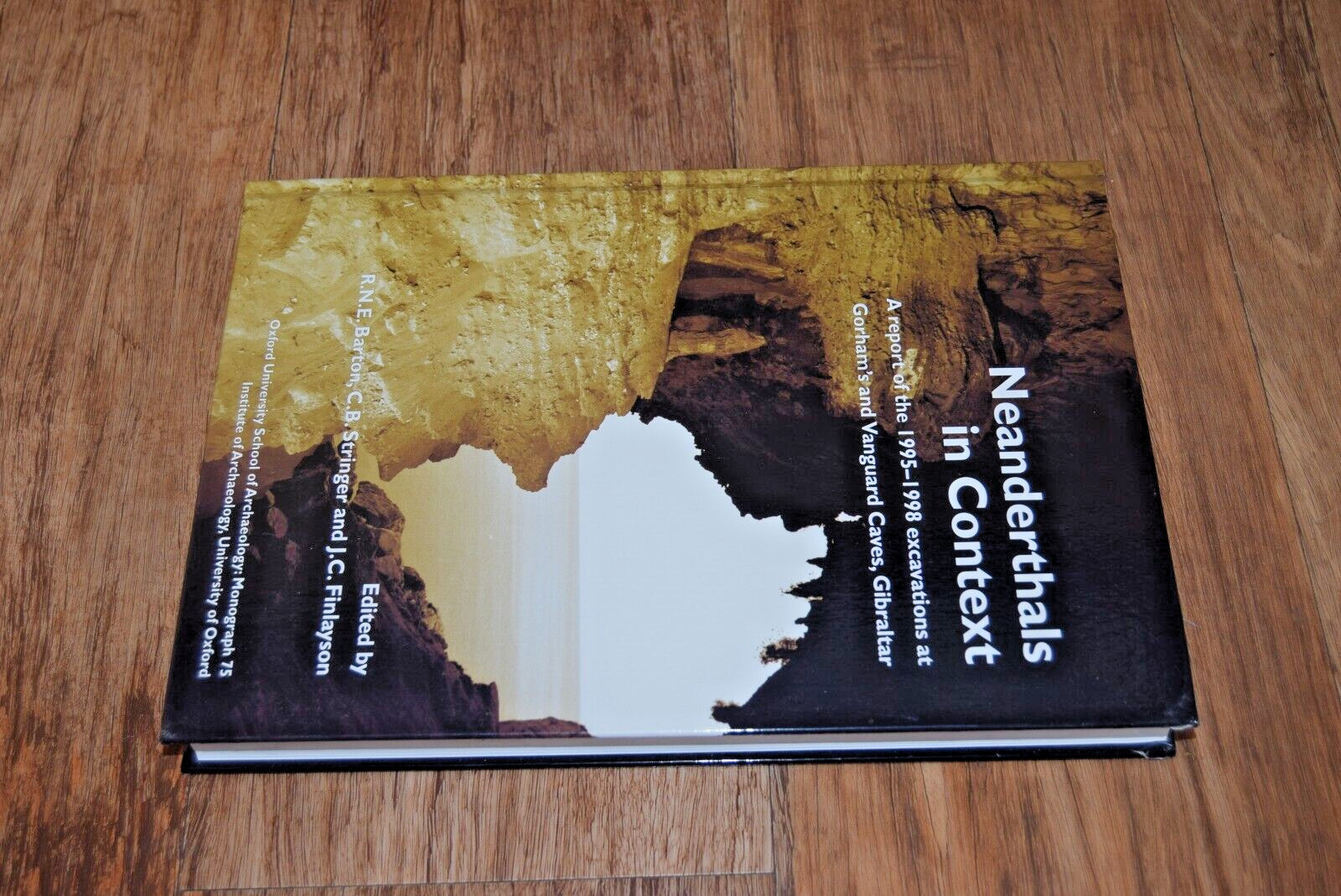 Neanderthals in Context 1995-1998 Caves Gibraltar Neanderthal archaeology book