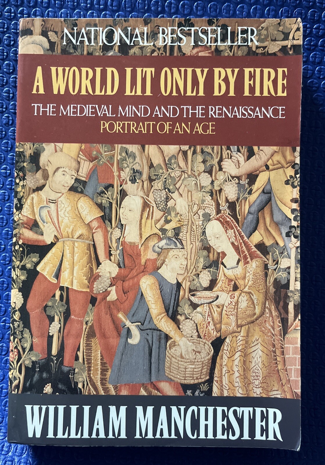 A WORLD LIT ONLY BY FIRE Medieval Mind and the Renaissance ~ Manchester 1993 PB