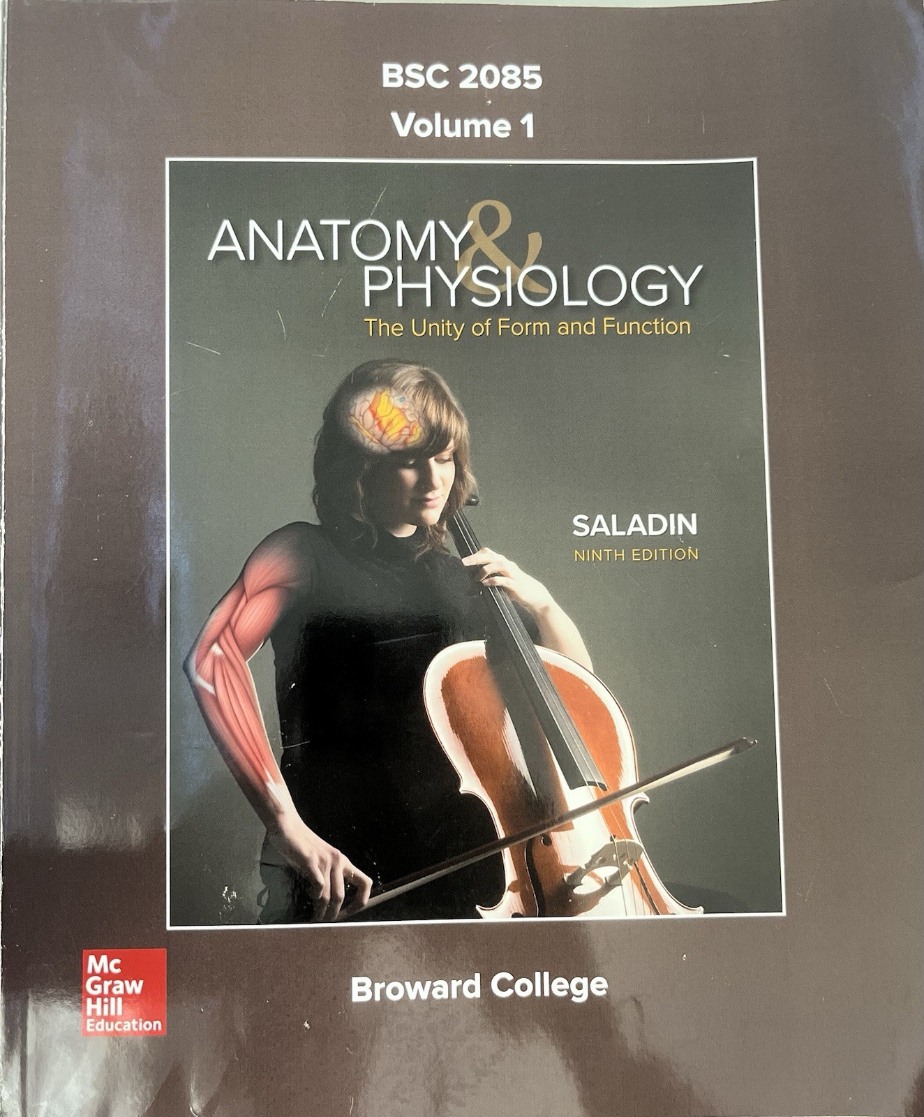 BSC 2085 Volume 1 Anatomy & Physiology Loose Leaf Book Saladin