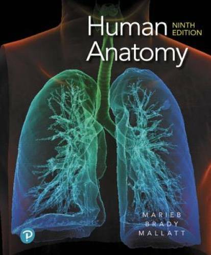 Human Anatomy (9th Edition) – Hardcover By Marieb, Elaine N. – GOOD