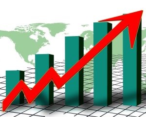 statistics hom statistics hom